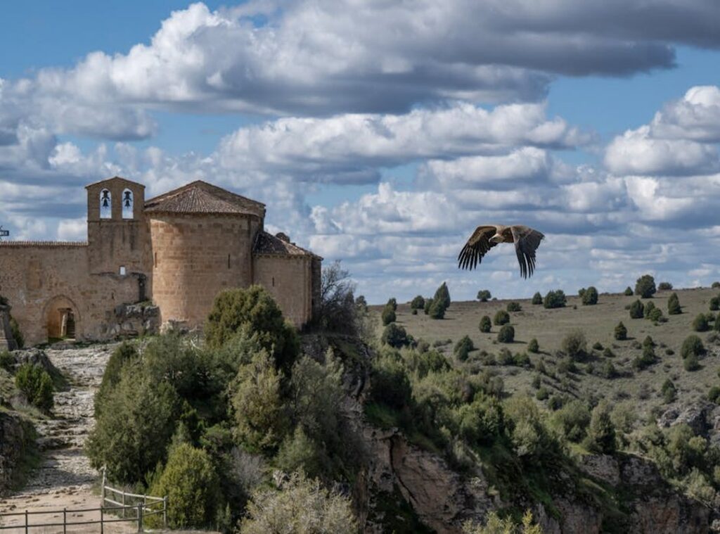 dibujos aesthetic para colorear de chicas