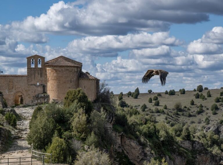 dibujos aesthetic para colorear de chicas