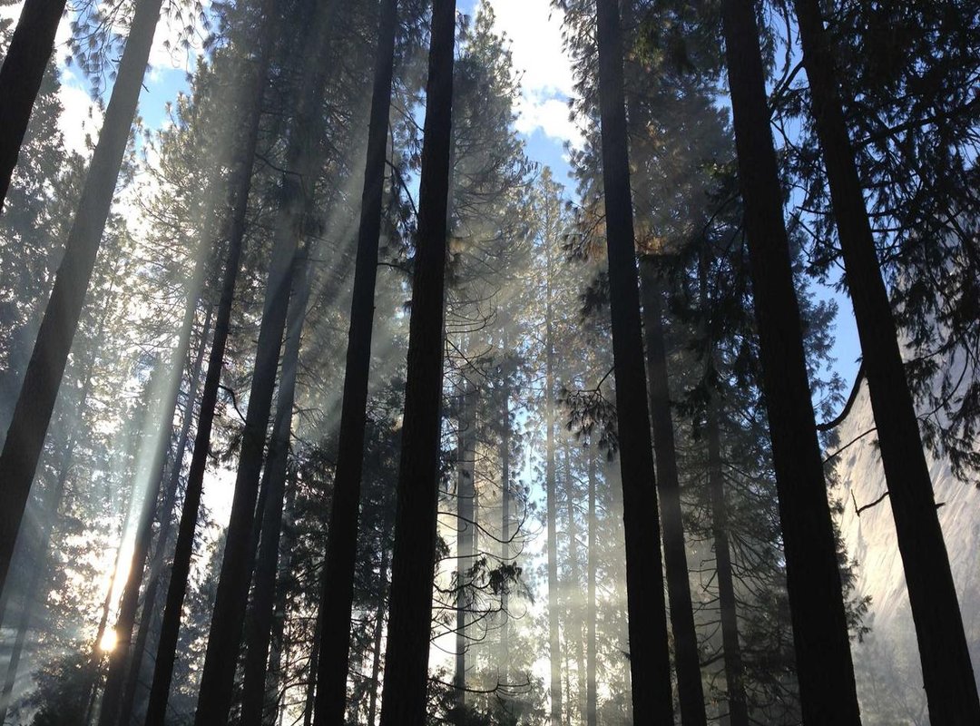 Frequently Asked Questions (FAQs)