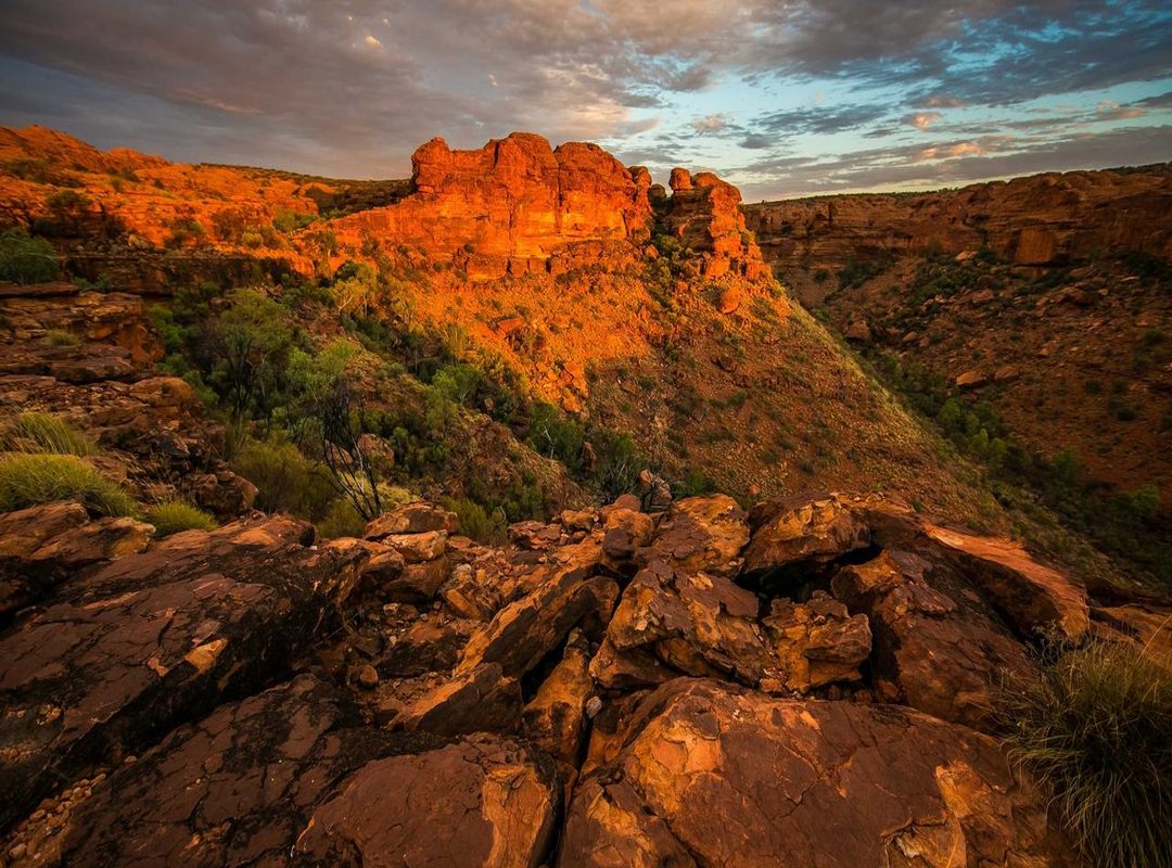 About the Artist: The Voice Behind the Music