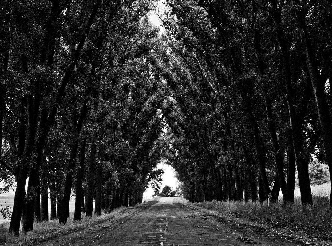 The Bryson's Experience: What Riders Are Saying