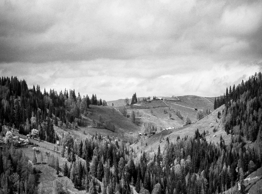 Style Archetype 2: The Gothic & Supernatural Elegance