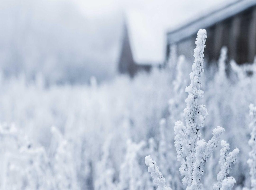 Frequently Asked Questions (FAQs)