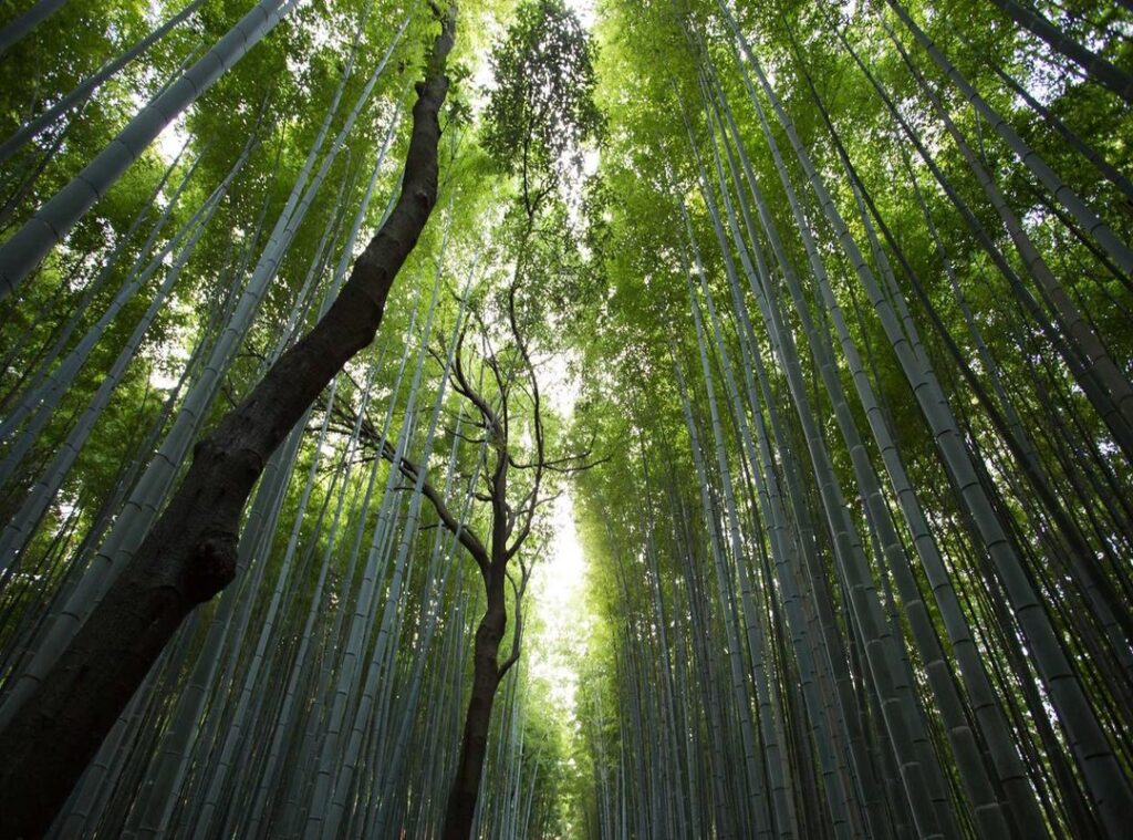 How to Pass a Cpr Certification Jexplifestyle