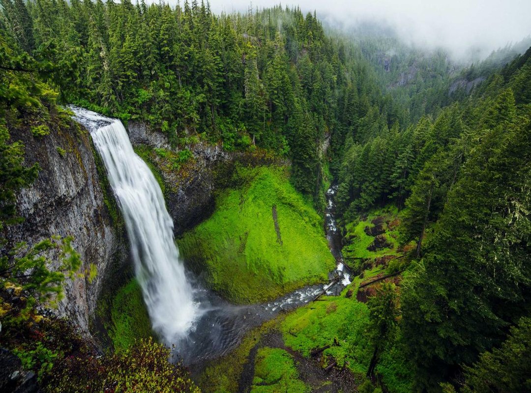 The Good, The Bad, and The Budget-Friendly: A Reality Check