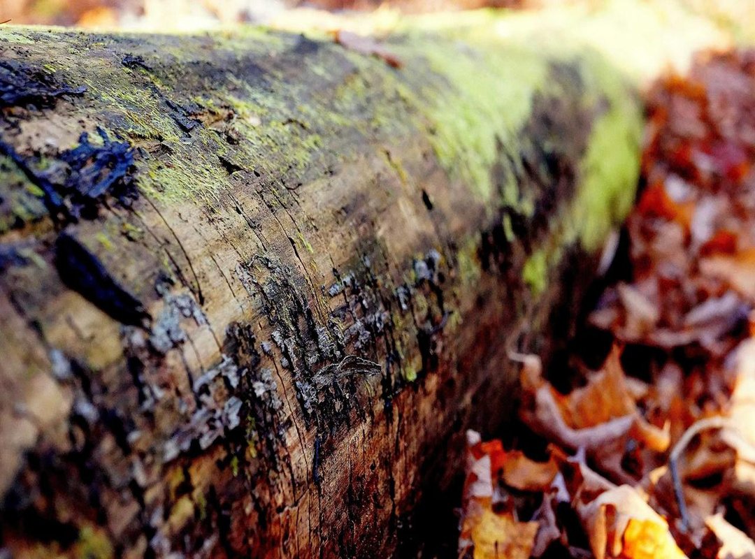 Beyond Legality: The Security Risks You Need to Know