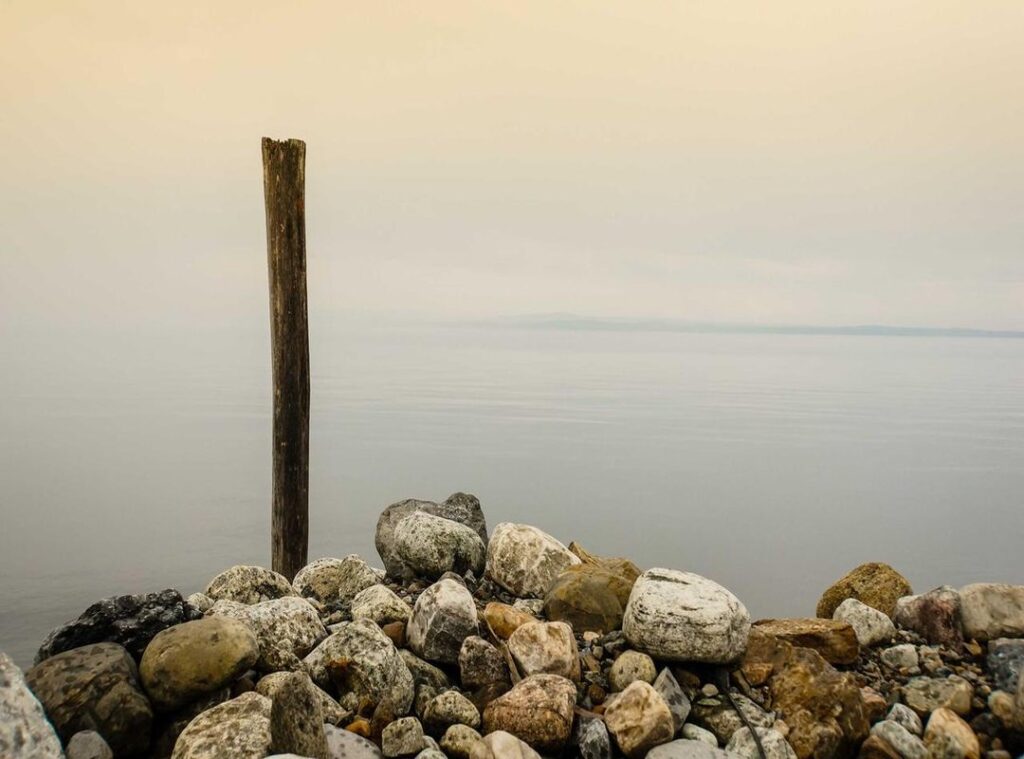 lookmovies2.to legit