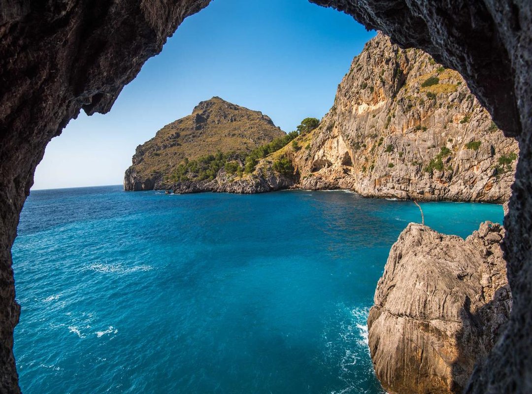 Brand Name vs. Store Brand: A Head-to-Head Comparison