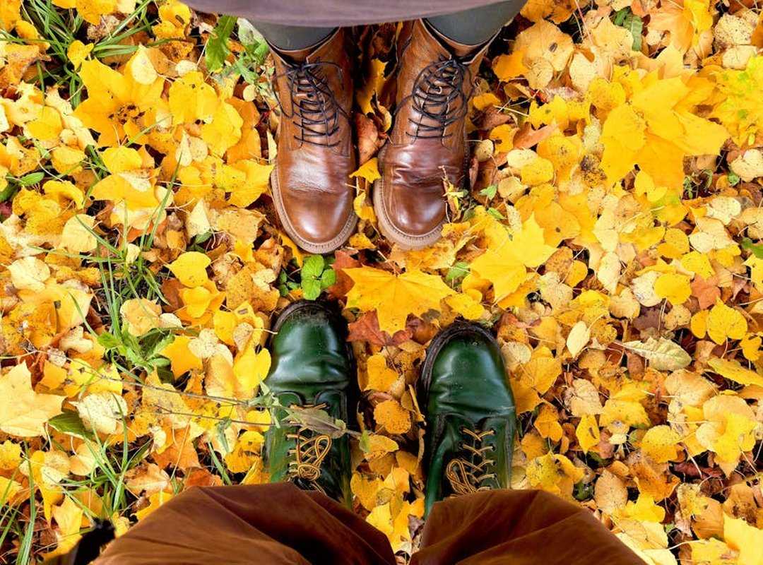 seasonal footwear essentials