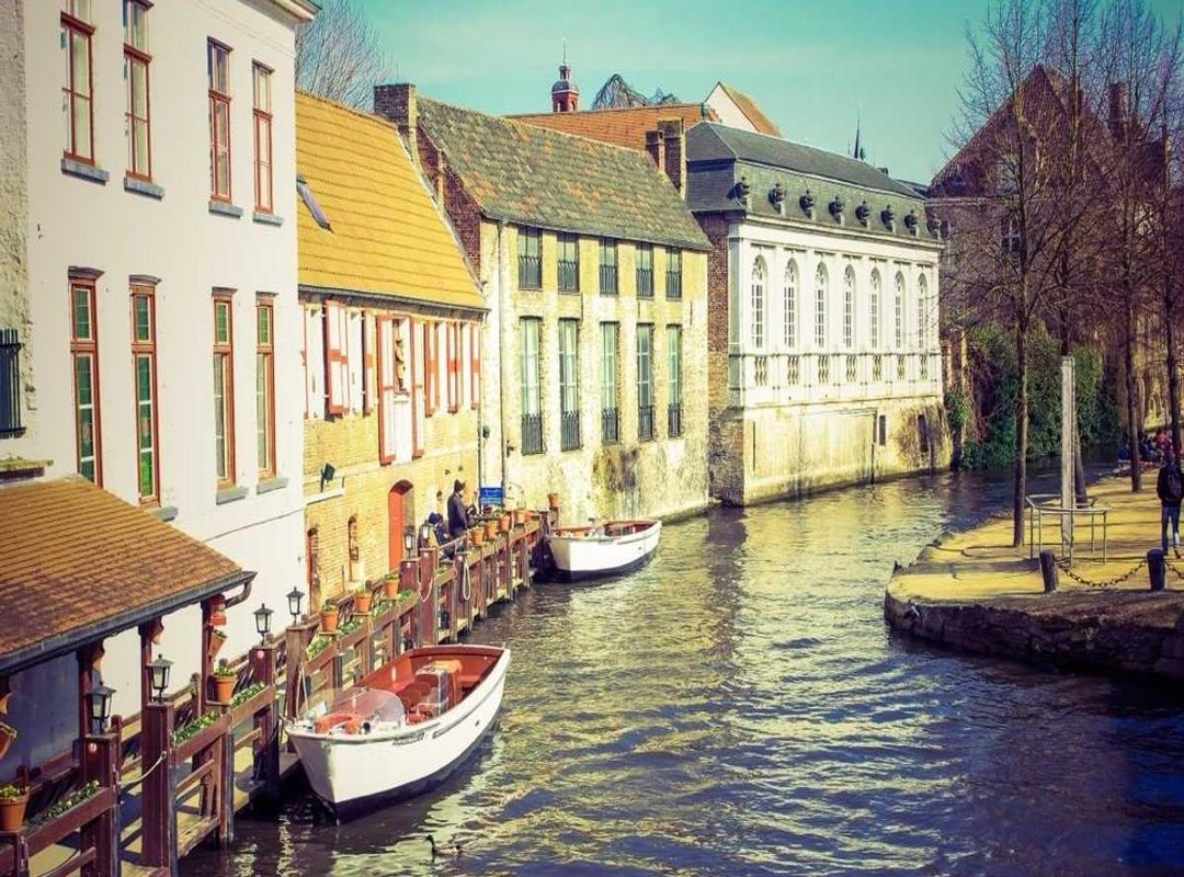 Beyond the Game: Creative Projects for Your Bear Graphic