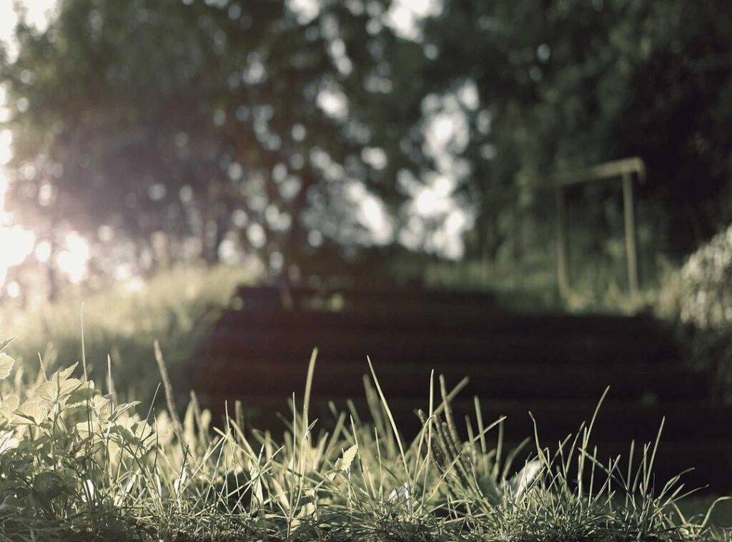 terabox syamimifzain