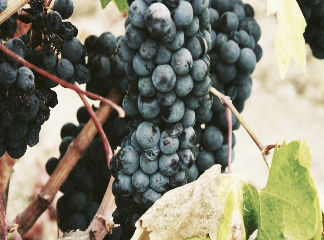 Beyond the Blade: Exploring the World and Power System