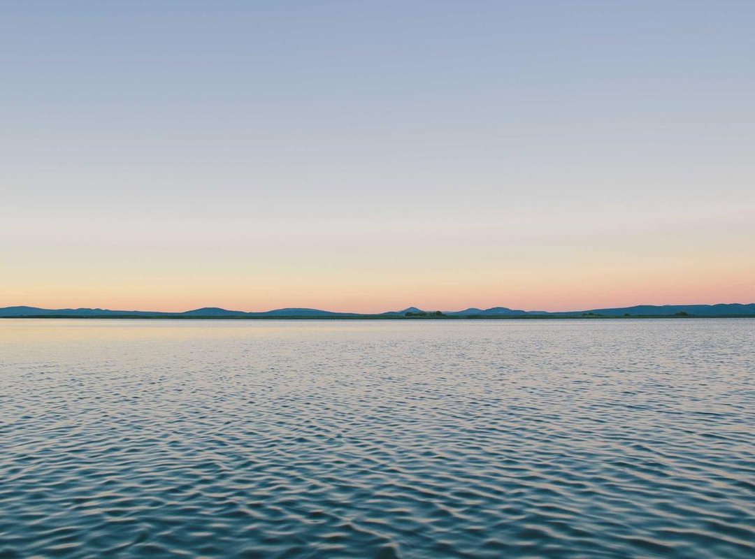 Discover the Unforgettable: A Curation of Unique Finds