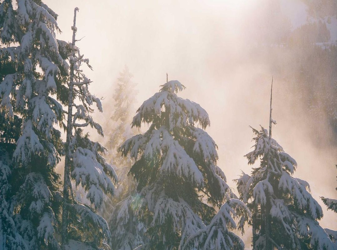 Comparative Analysis: Jazz vs. Lakers