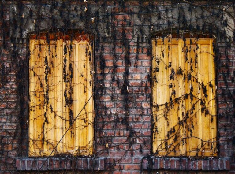 youtube to mp3 converter -- yt2